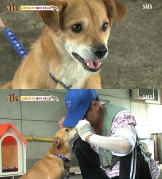 SBS 동물농장 방송캡처