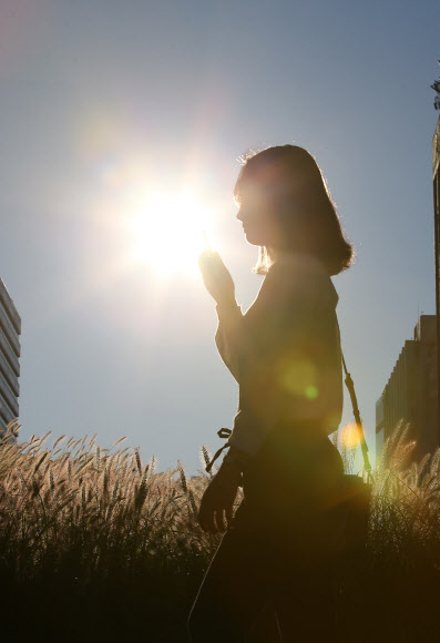 가을빛 내리는 출근길