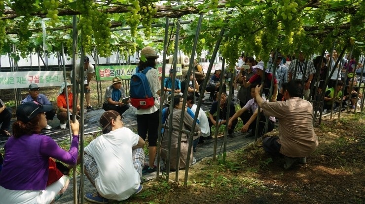 신기한 포도나무에 많은 매체가 주목하면서 농장 방문객은 해마다 늘어 2000~3000명이 농장을 방문한다.  