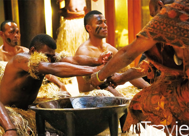 피지 전통 의식인 카바 세리모니를 위해 카바를 만들고 있다
