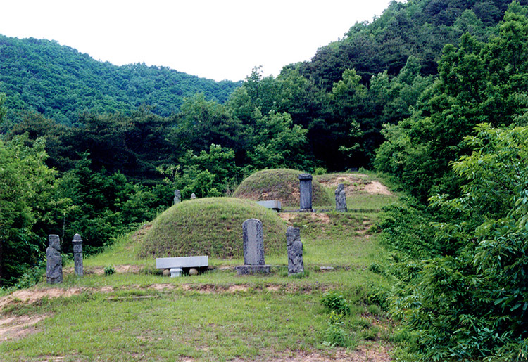 충북 진천군 문백면 봉죽리의 송강 정철 무덤(문화재청 사진)