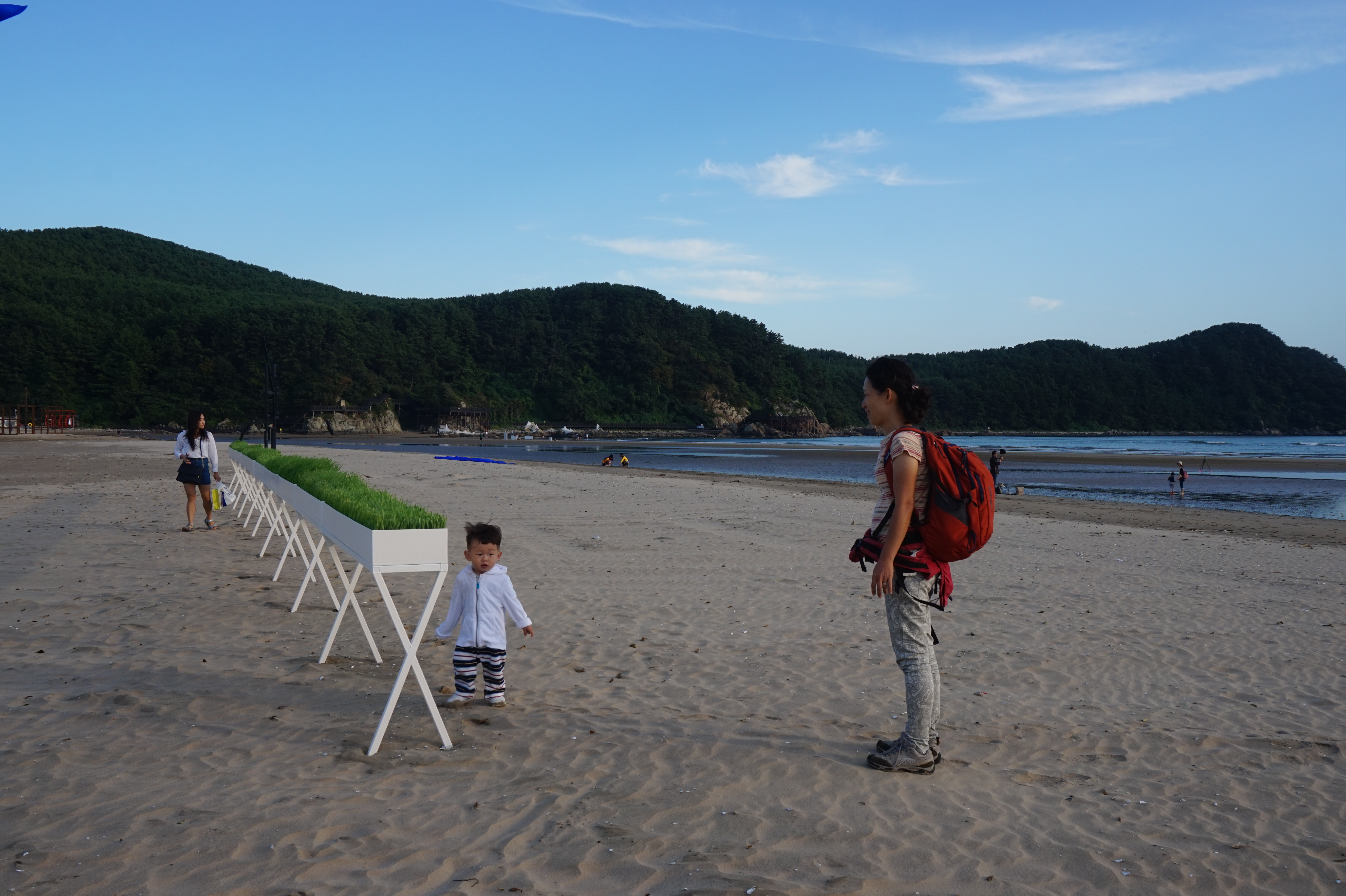 2015 바다미술제가 열리고 있는 부산 다대포의 바다와 해변에 설치된 헝가리 작가 조셉 타스나니의 작품 ‘기억의 지속’과 전원길 작가의 ‘녹색 수평선’.