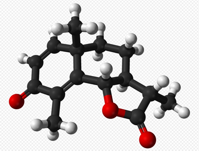 산토닌의 분자구조 모형도. 위키디피아 백과사전