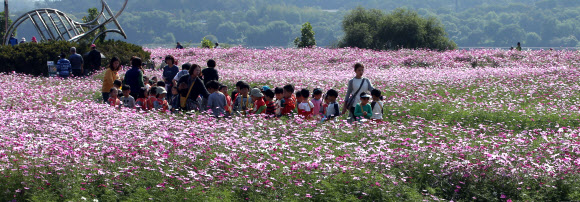 ’가을 사이로’