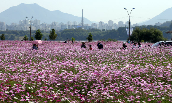 ’가을 사이로’