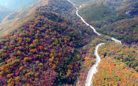7일 강원도 설악산 한계령 정상부근에서 단풍이 시작되고 있다. 기상청은 18일 설악산 단풍이 절정에 이를것으로 예상했다.  연합뉴스