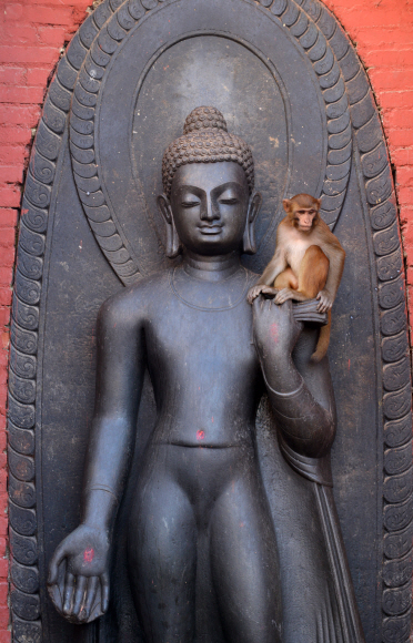 부처님 손 위에 걸터앉은 원숭이.