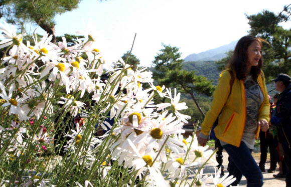 가을의 또다른 이름 ’여행’