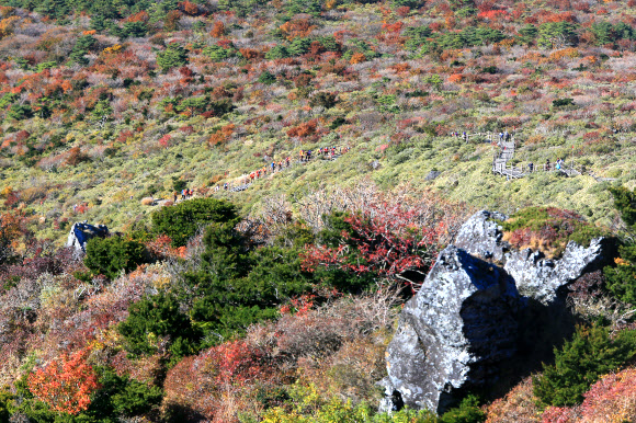 한라산 가을 정취 즐기는 탐방객들