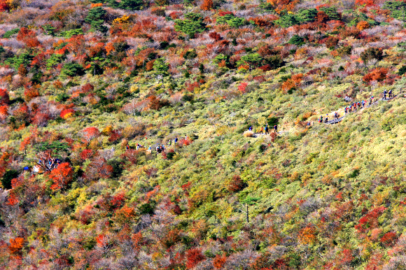 한라산 가을 정취 즐기는 탐방객들