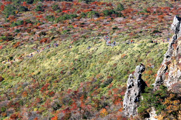 한라산 가을 정취 즐기는 탐방객들