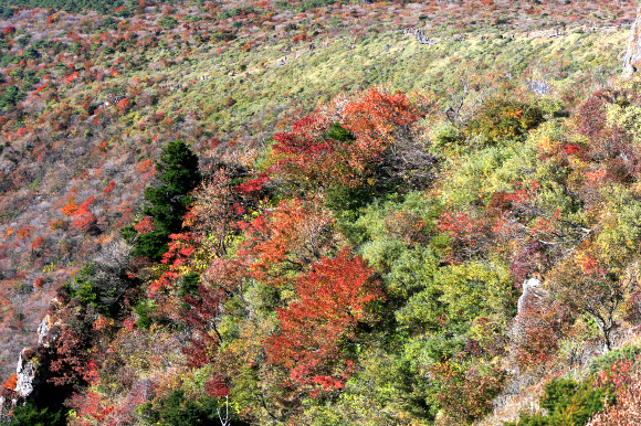 한라산 가을 정취 즐기는 탐방객들