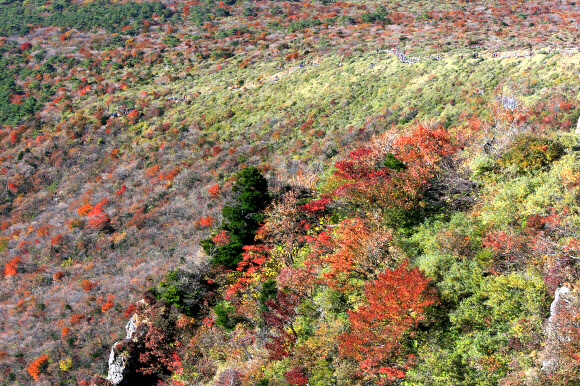 한라산의 가을 풍경