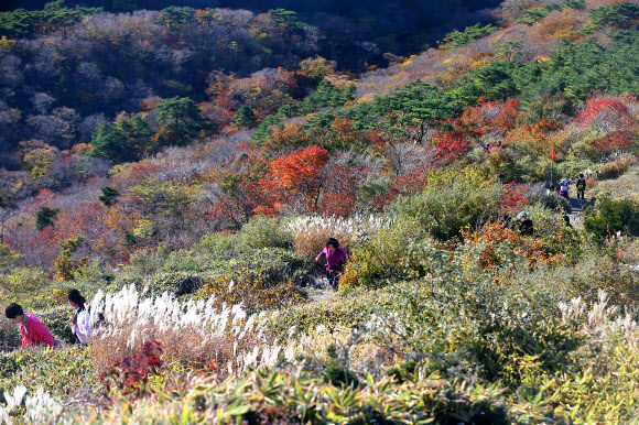한라산 가을 정취 즐기는 탐방객들