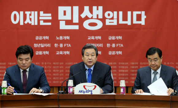새누리당 김무성 대표가 13일 오전 국회에서 열린 주요당직자회의에서 모두발언하고 있다.  연합뉴스