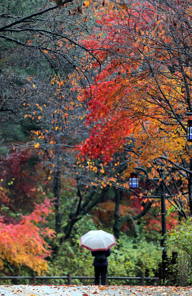 계절의 경계에서..
