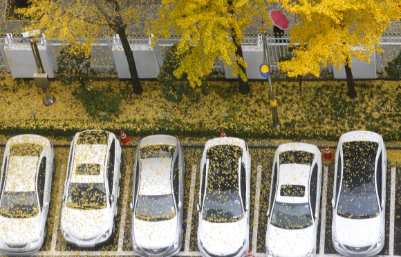 가을이 남긴 그림