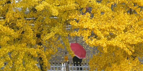 가을이 남긴 그림