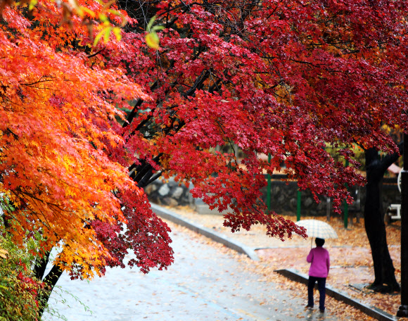’가을비 내리는 팔달산’