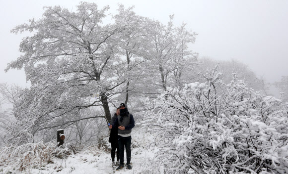24일 대설주의보가 내려진 가운데 첫눈이 내린 강원 강릉시 옛 영동고속도로 대관령 구간에서 관광객들이 사진을 찍으며 즐거워 하고 있다. 대관령의 첫눈은 작년보다 7일 늦고 평년보다는 22일 늦은 것이다.  연합뉴스