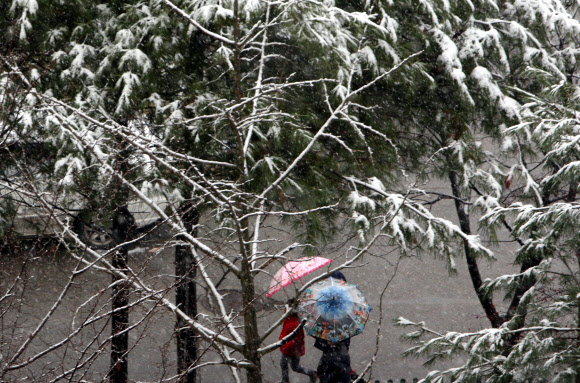 첫눈 내린 등굣길