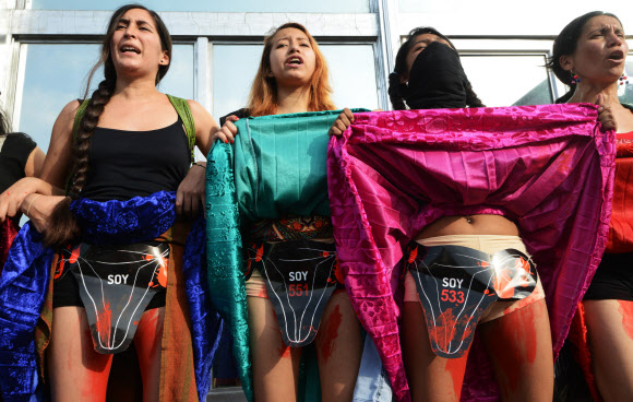 수백명의 운동가들이 25일(현지시간) 리마에서 세계여성폭력 추방의 날을 기념하는 시위에 참여하고 있다.  ⓒ AFPBBNews=News1