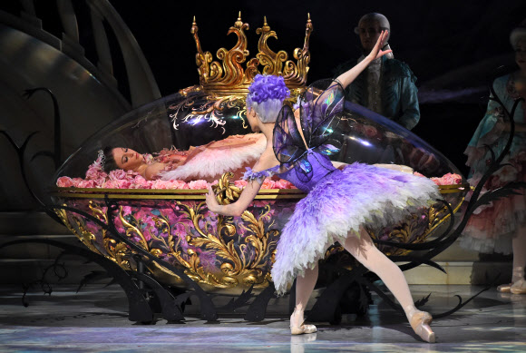 발레리나 라나 존스(가운데)가 26일 시드니 오페라 하우스에서 호주 발레 프로덕션의 잠자는 숲속의 공주 드레스 리허설 동안 공주 오로라의 파트를 춤추고 있다. ⓒ AFPBBNews=News1