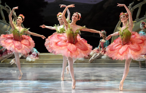 발레리나들이 26일 시드니 오페라 하우스에서 호주 발레 프로덕션의 잠자는 숲속의 공주 드레스 리허설 동안 춤을 추고 있다. ⓒ AFPBBNews=News1