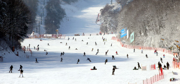 ’겨울아 반갑다’…강원 스키장 시즌 개막