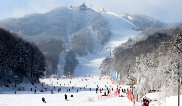 ’겨울아 반갑다’…강원 스키장 시즌 개막