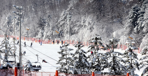 ’겨울 속으로’…강원 스키장 개장