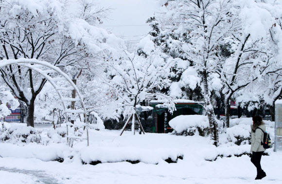 눈 내린 출근길