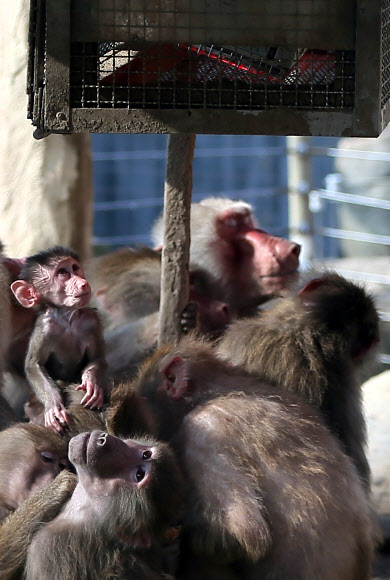 난로의 따뜻함이 이렇게 좋아