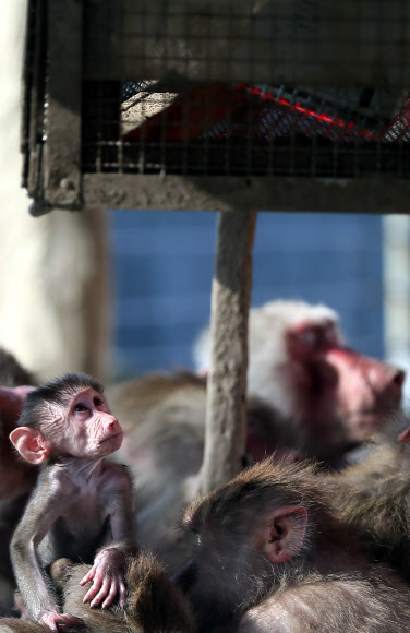 ’고향의 따뜻함이 이런걸까?’