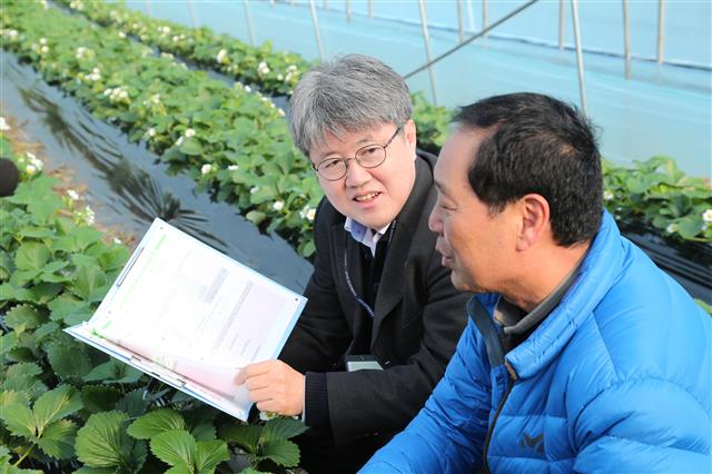 유경준(왼쪽) 통계청장이 1일 충남 논산시 신교리 딸기 농가를 방문해 ‘2015년 농림어업 총조사’를 하고 있다. 통계청 제공