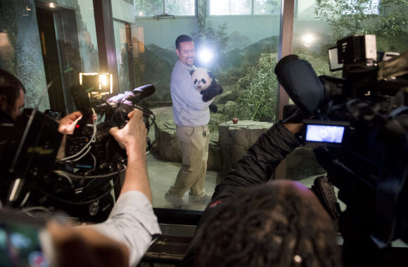 16일(현지시간) 미국 워싱턴D.C.의 스미스소니언 국립 동물원에서 지난 8월 22일에 태어난 자이언트 판다 ‘베이베이’가 처음으로 공식 미디어 행사를 가진 가운데 사육사 후안 로드리게스의 품에 안겨있다 ‘베이베이’는 내년 1월 16일 공개적으로 사람들 앞에 모습을 드러낼 예정이다. ⓒ AFPBBNews=News1