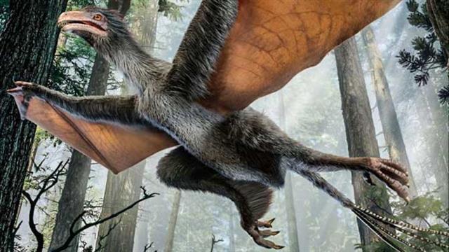현재 조류의 조상으로 추정되는 비둘기 크기의 비행 공룡
