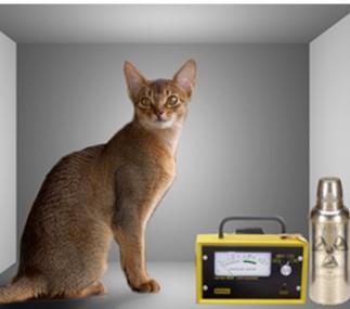 슈뢰딩거의 고양이 패러독스를 실제로 재현하면 대략 이런 모습이다. 위키피디아 제공