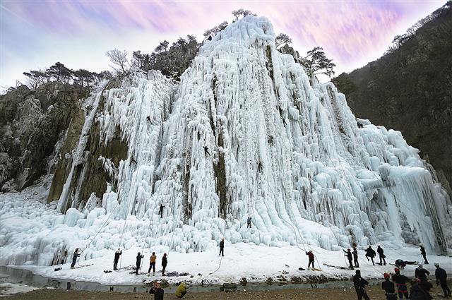 경북 청송에서 가장 추운 곳인 부동면 내룡리에 있는 거대한 인공 빙벽. 이곳에서는 ‘청송 아이스클라이밍 월드컵’ 대회가 열린다. 올해는 오는 15일부터 17일까지 3일간 세계 1∼8위 선수 등 100여명이 참가하는 가운데 열린다. 청송군 제공