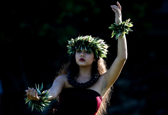 7일(현지시간) 하와이 라하이나의 카팔루아 골프 클럽 플랜테이션 코스에서 열린 현대 토너먼트 오브 챔피언스 개막을 축하하는 행사에서 훌라 댄서가 공연을 하고 있다. ⓒ AFPBBNews=News1