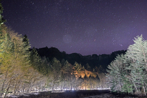 별빛이 쏟아지는 월정사 전나무 숲길. 은은한 경관조명 덕에 깊은 밤에도 조용히 사색하며 걸을 수 있다.