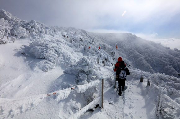 ’한라산 만설’