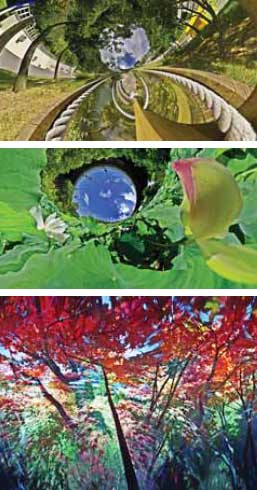 주도양 작가가 곤충의 시선으로 포착한 다양한 이미지들. 사비나미술관 제공