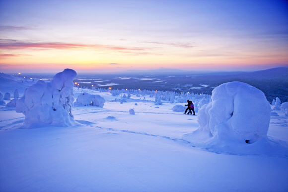 스노슈잉. 설피 비슷한 스노슈즈를 신발 위에 덧신고 트레킹을 즐긴다. 눈 덮인 나무는 ‘피니시 라플란드’로, 핀란드의 진기한 자연현상 중 하나다.