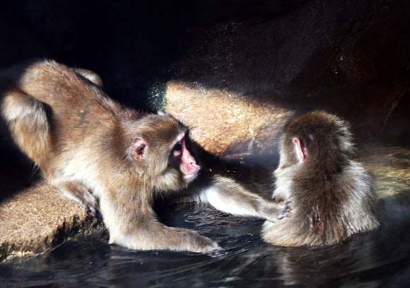 ’물속은 따뜻하니’