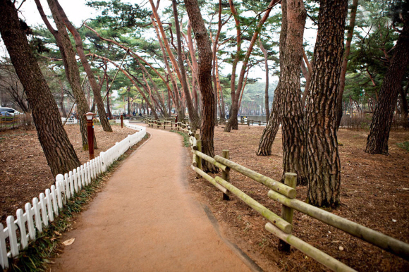 서울 북한산 둘레길 1코스인 소나무 숲길 구간.  한국관광공사 제공