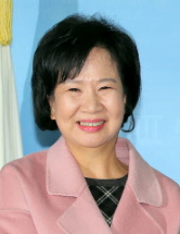 더불어민주당 손혜원 의원