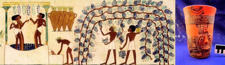 테베에 위치한 필경사 나크트의 묘에 그려진 BC 1400년 이집트 왕실 와인공장의 와인 제조 장면(왼쪽)과 페루 남부 세로바울의 와리 지역에서 발견된 9세기경 술잔.  글항아리 제공 