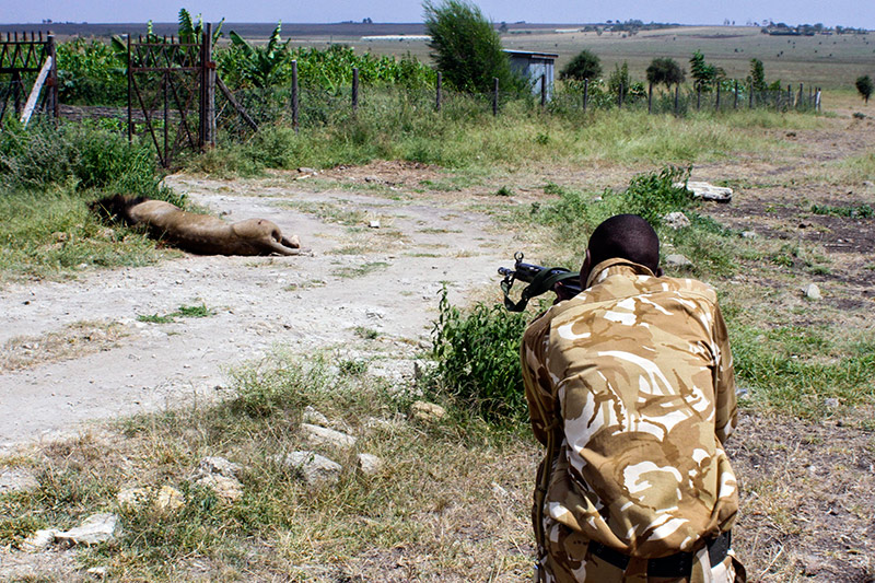 사진=AFP/연합뉴스
