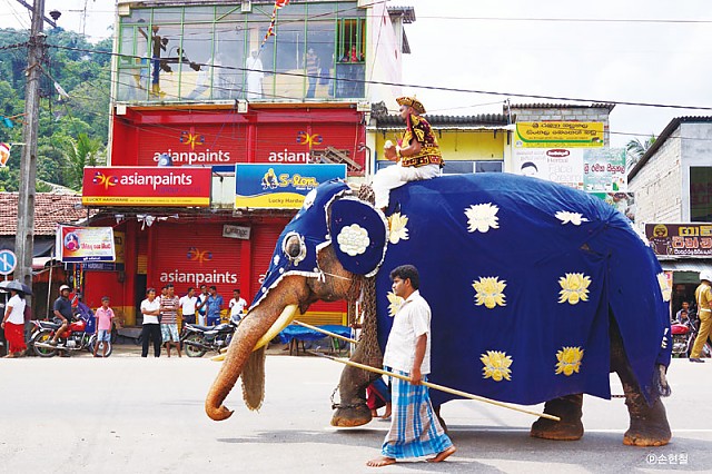 스리랑카에서 축제 행렬의 선두는 좋은 천으로 만든 옷을 입은 코끼리의 차지다